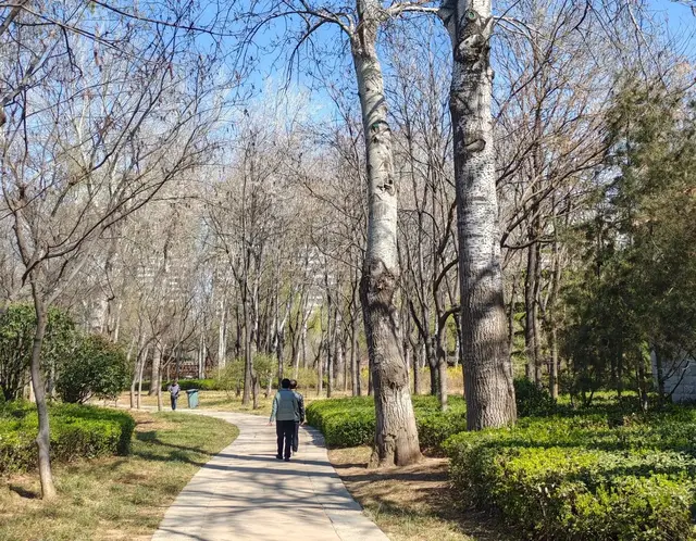 两次才进入的济南免费4A景区，藏在城市里的森林公园挺赛