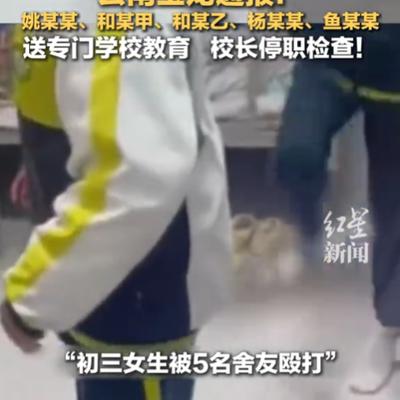 法律公开课：“最新消息！”云南丽江，一1