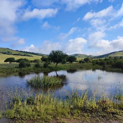 惜缘5h8f：原来写头条动力十足、情绪高