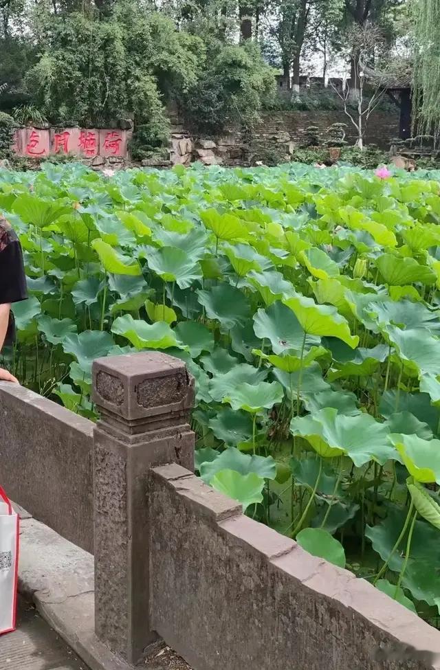 立夏之后这两件事千万不能做