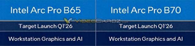 Intel两款32GB大显存显卡蓄势待发！