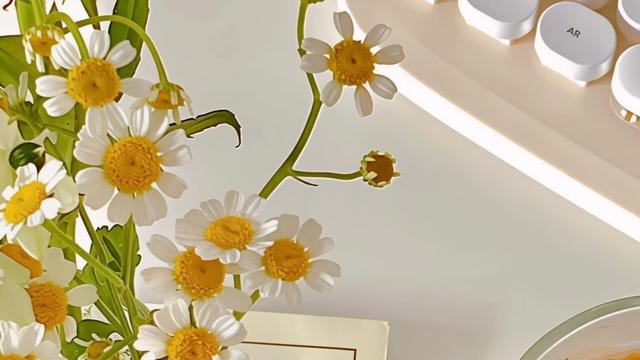 张无忌的书房：为什么我觉得人适合在40以