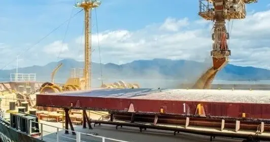 巴西大豆又“赢”了！背后的百年成王之路是怎么样！