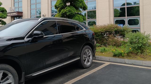 年年爱头条：在这春意盎然的天气，是太适合