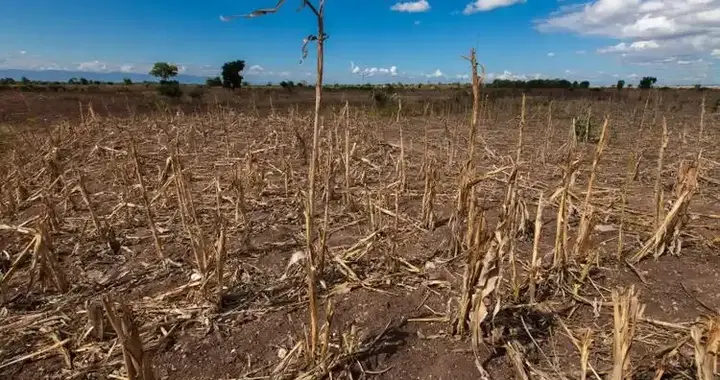 美国闯大祸！中东战火波及全球粮仓，尿素暴涨断供，中方早有准备