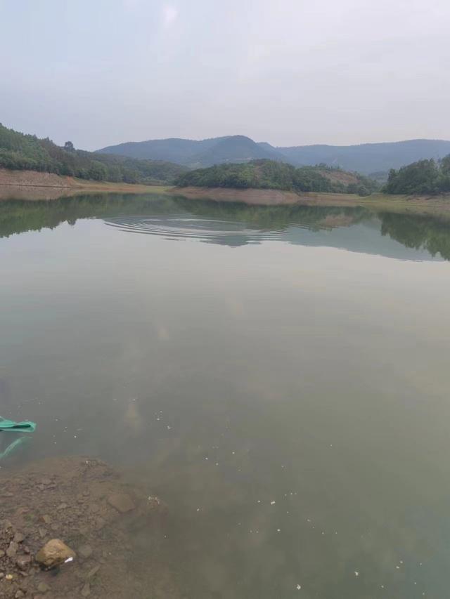 夏季野钓没口怎么办？几种解决思路，吃一顿的会有
