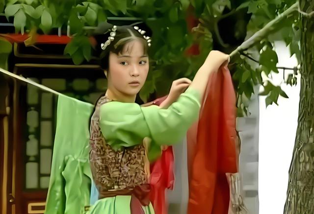 《红楼梦》｜能养出春燕这么生机勃勃的女儿，何婆子并没那么不堪