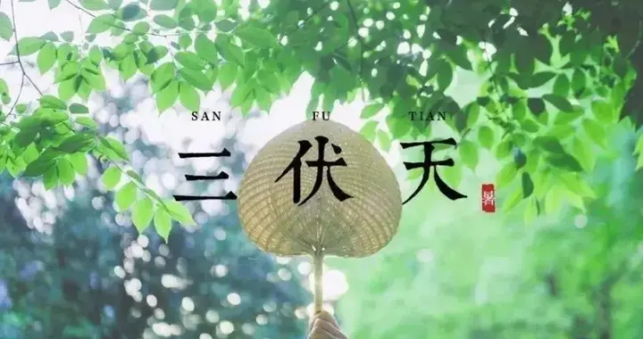 三伏天体能消耗大，建议多补充这3种营养，健康度夏身体棒