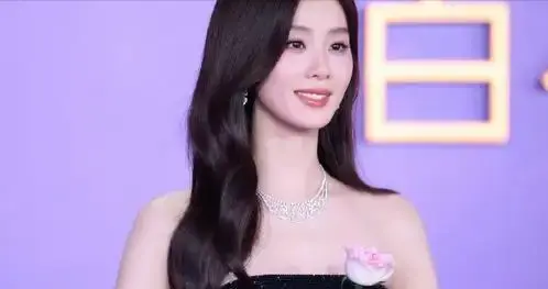 刘诗诗1票不用可惜！20年审美不变，守住11年婚姻，才是大赢家