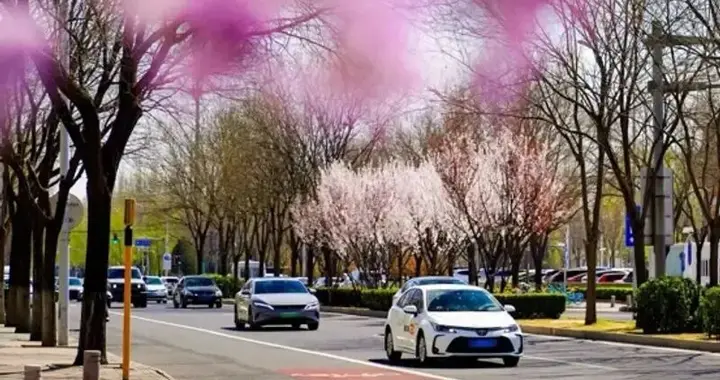 每天车闻：奕境汽车核心管理层曝光