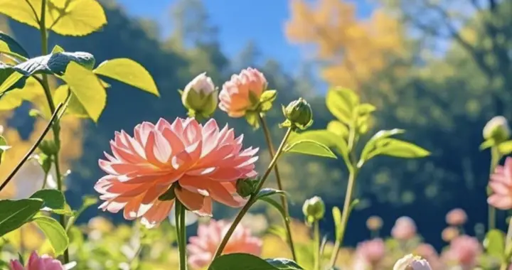 互访互赞只是表面热闹，真正有用的互动，从来不是瞎串门