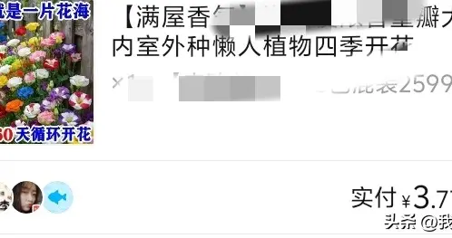 网购洋桔梗种子大翻车，宿迁货全是套路，养花人彻底破防