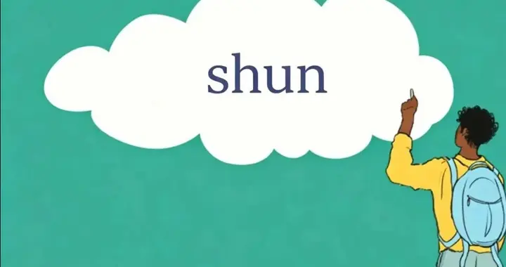 纽约时报高频词：shun
