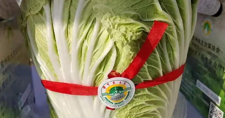“天价”白菜！35元1棵、亩产2.5万元，这些高价大白菜你买过吗？