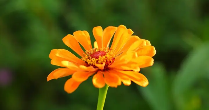 中年女人，把你当“老公”了，才会有以下行为