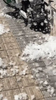 星光：纯天然棉花糖，管够[偷笑]