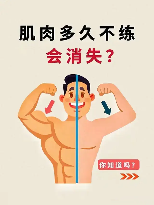 肌肉多久不练会消失？你是因为什么而坚持健身？