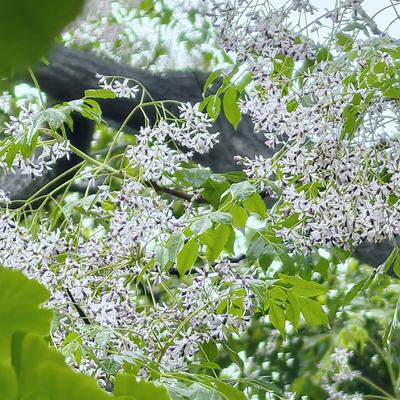 凡的光影世界：。