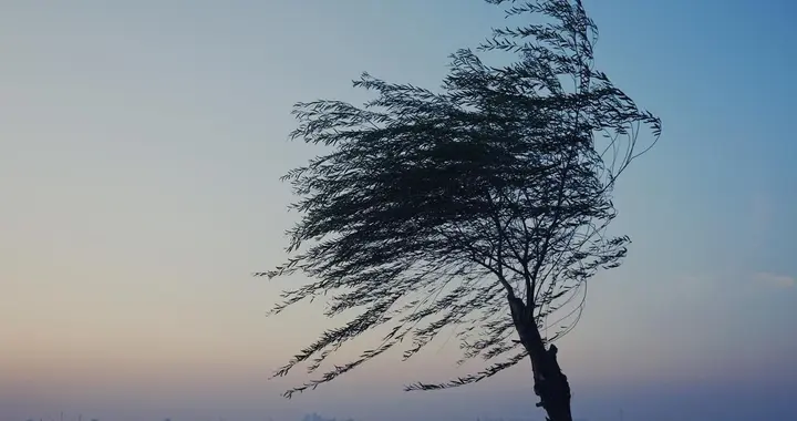 身体有三道“防风墙”：一个喷嚏到眩晕，风邪闯到了哪一关？