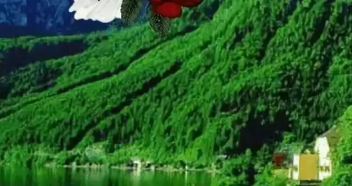 忍字头上一把刀