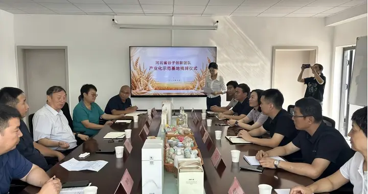 扎根小米故乡 厚植邯郸谷