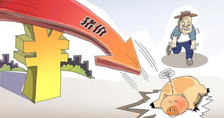 猪价跌破8年新低，行业洗牌加速：国家托底难改供需基本面