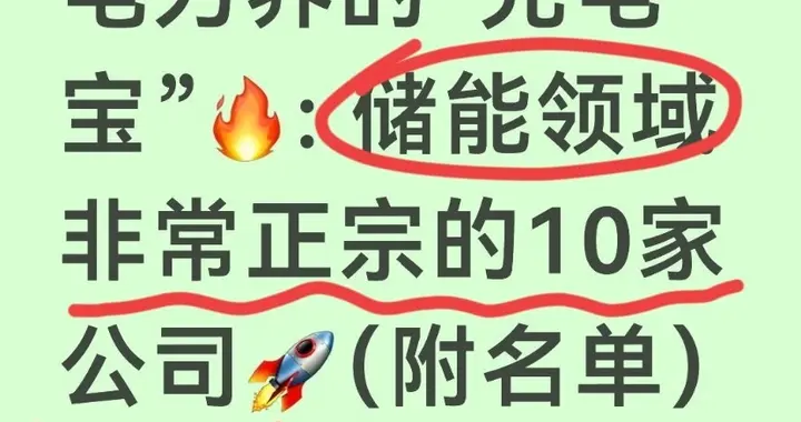 电力界的“充电宝”: 储能领域非常正宗的10家公司