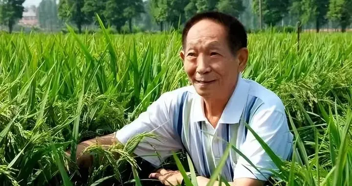 我们饿了5000年，为什么才吃饱饭30年，就有人开始嫌弃碳水