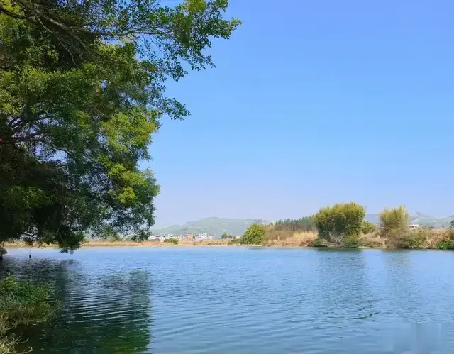 开学临近，因为要上三个学科，想着写教案的事，我都睡不着了。