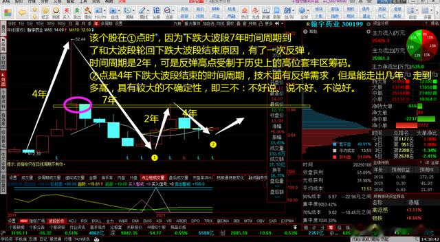 对粉丝两只自选股300199、002369的管见