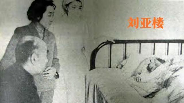 图说历史：开国上将刘亚楼  1965年的