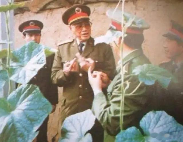 1985年，第12军34师整编为北方乙种师，为何被称为“小十二军”？