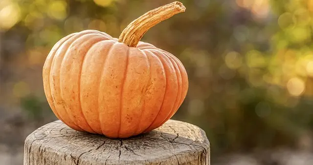 年入百万不是梦？亚马逊运营的终 极进化之路