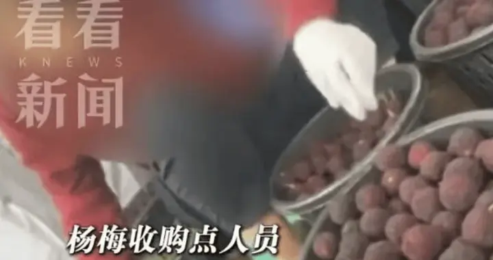 “泡药杨梅”事件：解决好食品安全问题，才能真正迈向发达国家