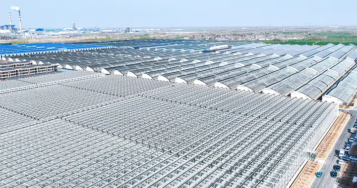 从中央一号文件看设施农业的崛起之路