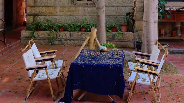 夜夜未央：树老根先枯，人老腿先老，腿老胃