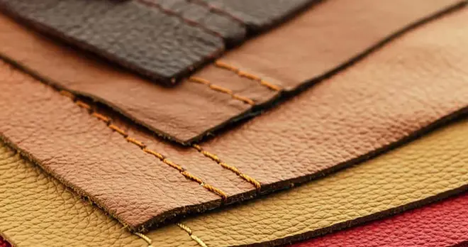 纳帕皮并不嗨皮 也分三六九等｜汽势策划