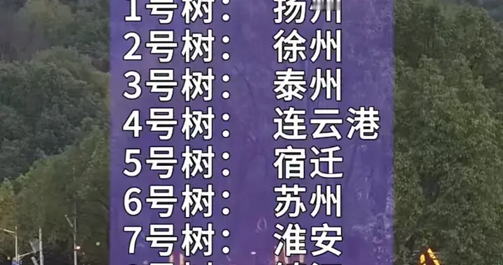 永州体育场挂票抽签出炉！江苏十三太保抽树座，苏州精装扬州毛坯