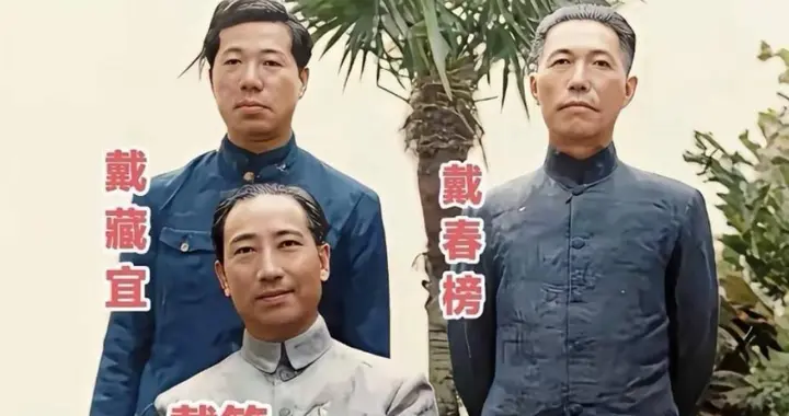 戴笠飞机失事身亡，一生神秘冷酷，他唯一的儿子最后去哪了？