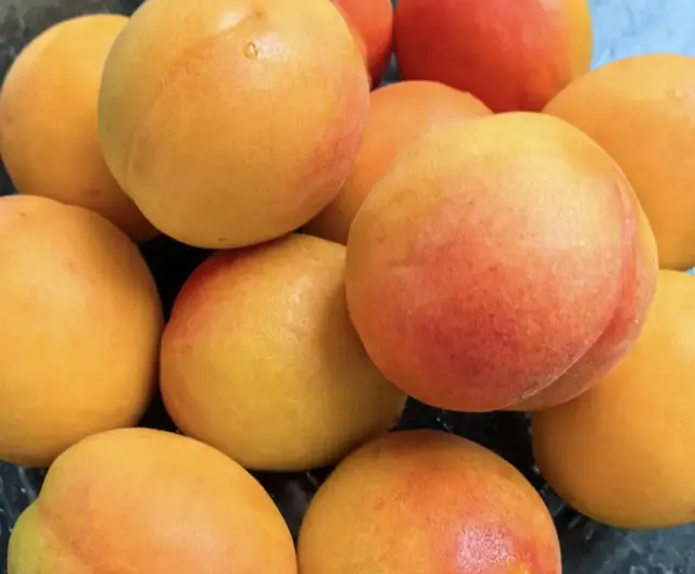 低糖护眼水果上市！胡萝卜素是黄桃5倍，钾不输香蕉，清甜可口！