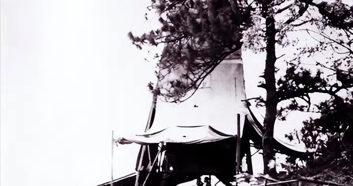 1965年，毛主席听到特大矿产地名后，说：不好听，我看叫攀枝花吧