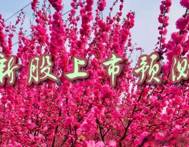 开发科技（930029）3月28日上市价格预测