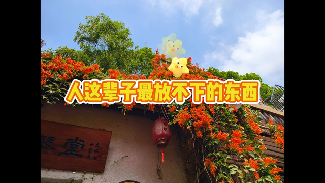 钱与情：人生的取舍与智慧