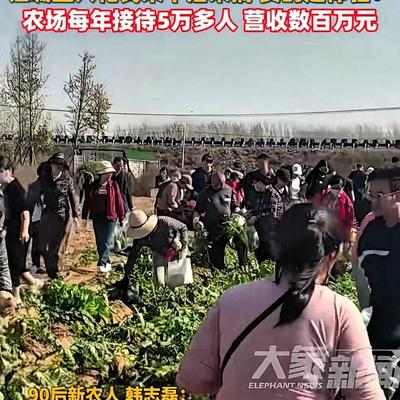 魔法微头条：河南这位90后小伙种地年入百