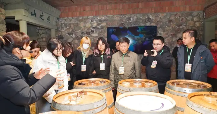 探访志辉源石酒庄：解码宁夏葡萄酒的生态密码