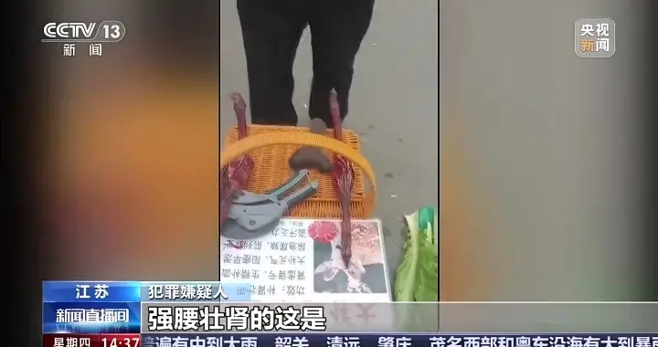 50元一棵变一克，老头不买被踹翻：跨省团伙栽了