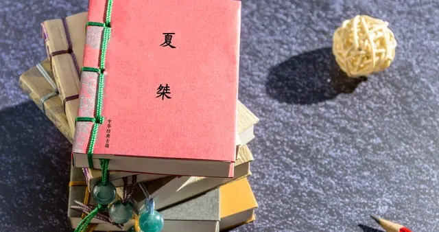 酒池肉林的终结者：夏桀的暴政如何引发灭亡的阴影？