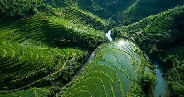 如果有一天，你和兄弟姐妹断交了，记得做好这几件事，很重要