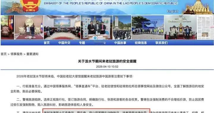 中国公民境外买犀牛角熊胆，免费游背后是违法陷阱