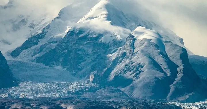 中国西极的春天，藏着一场不该被公开的“秘密花期”！